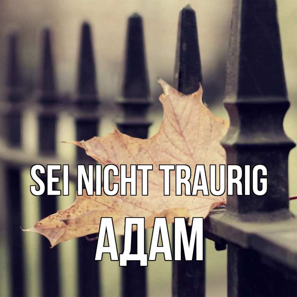 Открытка на каждый день с именем, Адам Sei nicht traurig лист клена Прикольная открытка с пожеланием онлайн скачать бесплатно 