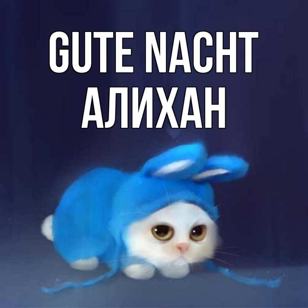 Открытка на каждый день с именем, Алихан Gute Nacht кот в голубом костюме кролика с ушками Прикольная открытка с пожеланием онлайн скачать бесплатно 