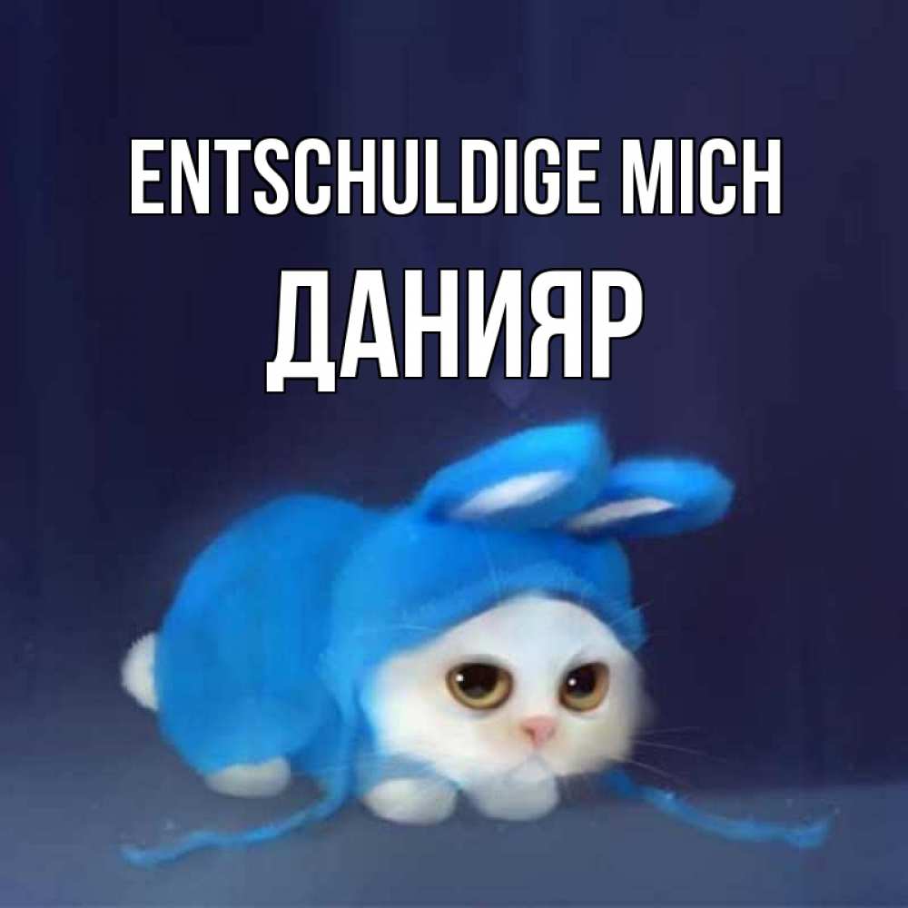 Открытка на каждый день с именем, Данияр Entschuldige mich невинный котозай просит прощения Прикольная открытка с пожеланием онлайн скачать бесплатно 