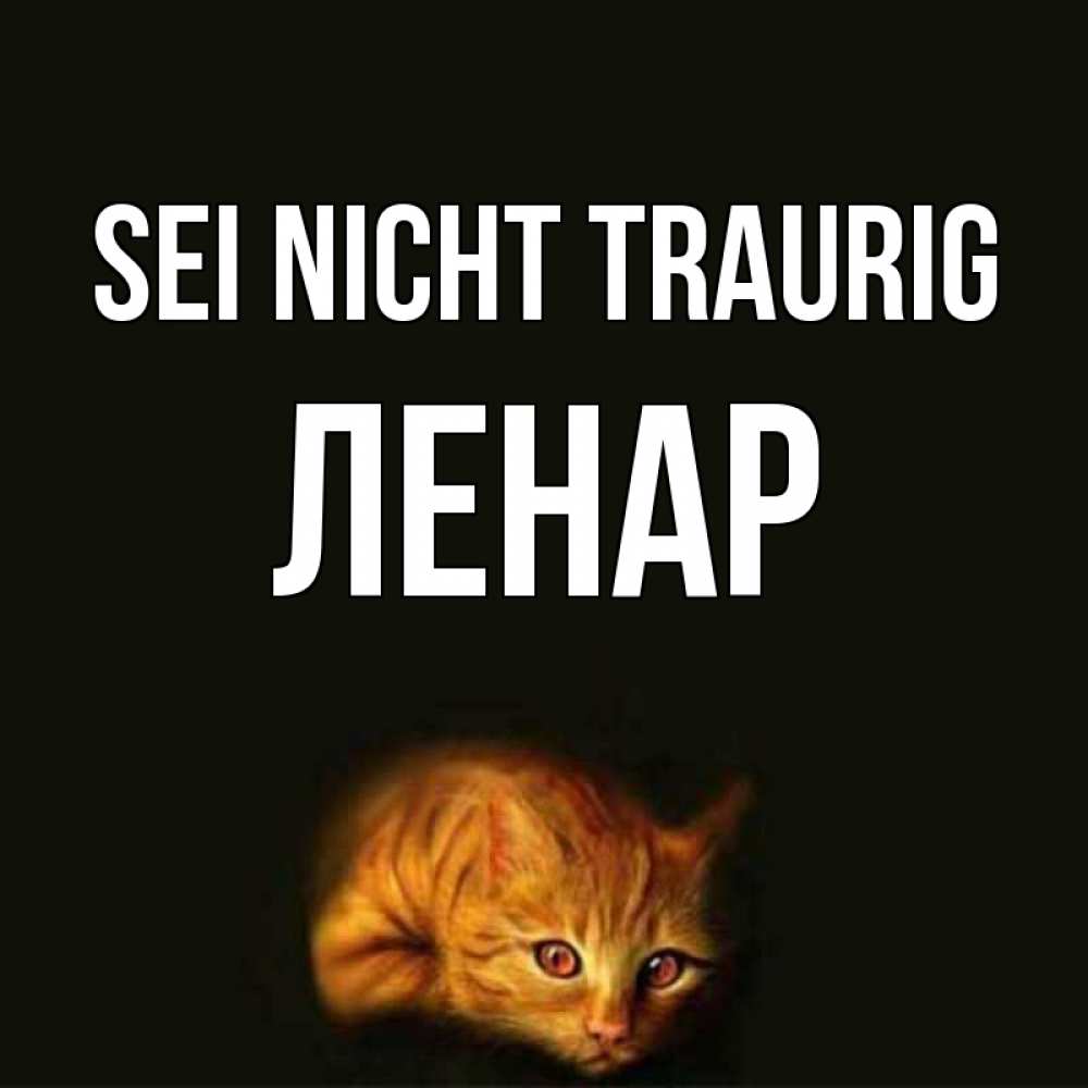 Открытка на каждый день с именем, Ленар Sei nicht traurig лежащий кот в темноте Прикольная открытка с пожеланием онлайн скачать бесплатно 