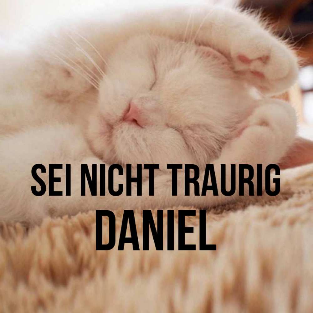 Открытка на каждый день с именем, Daniel Sei nicht traurig Котенок спит Прикольная открытка с пожеланием онлайн скачать бесплатно 