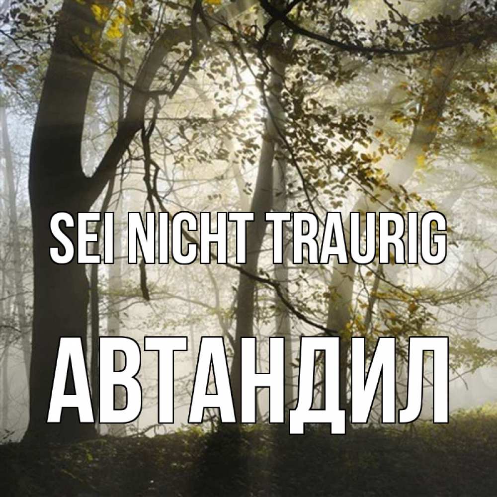 Открытка на каждый день с именем, Автандил Sei nicht traurig лес и свет Прикольная открытка с пожеланием онлайн скачать бесплатно 
