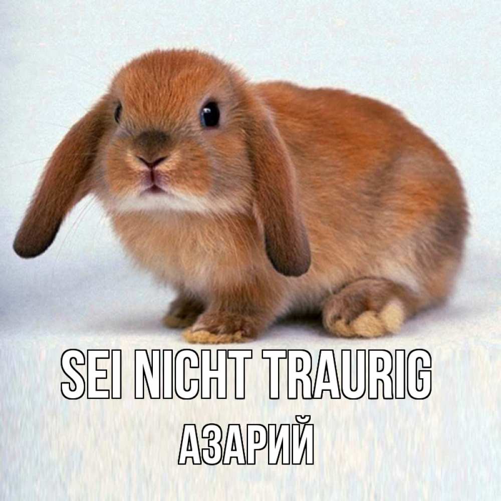 Открытка на каждый день с именем, Азарий Sei nicht traurig рыжий зая Прикольная открытка с пожеланием онлайн скачать бесплатно 