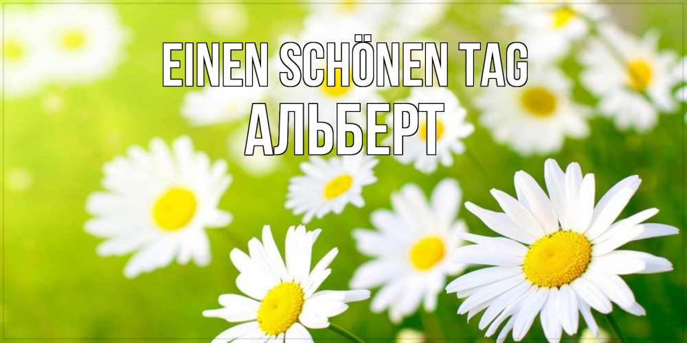 Открытка на каждый день с именем, Альберт Einen schönen Tag открытка с ромашками на зеленом фоне Прикольная открытка с пожеланием онлайн скачать бесплатно 