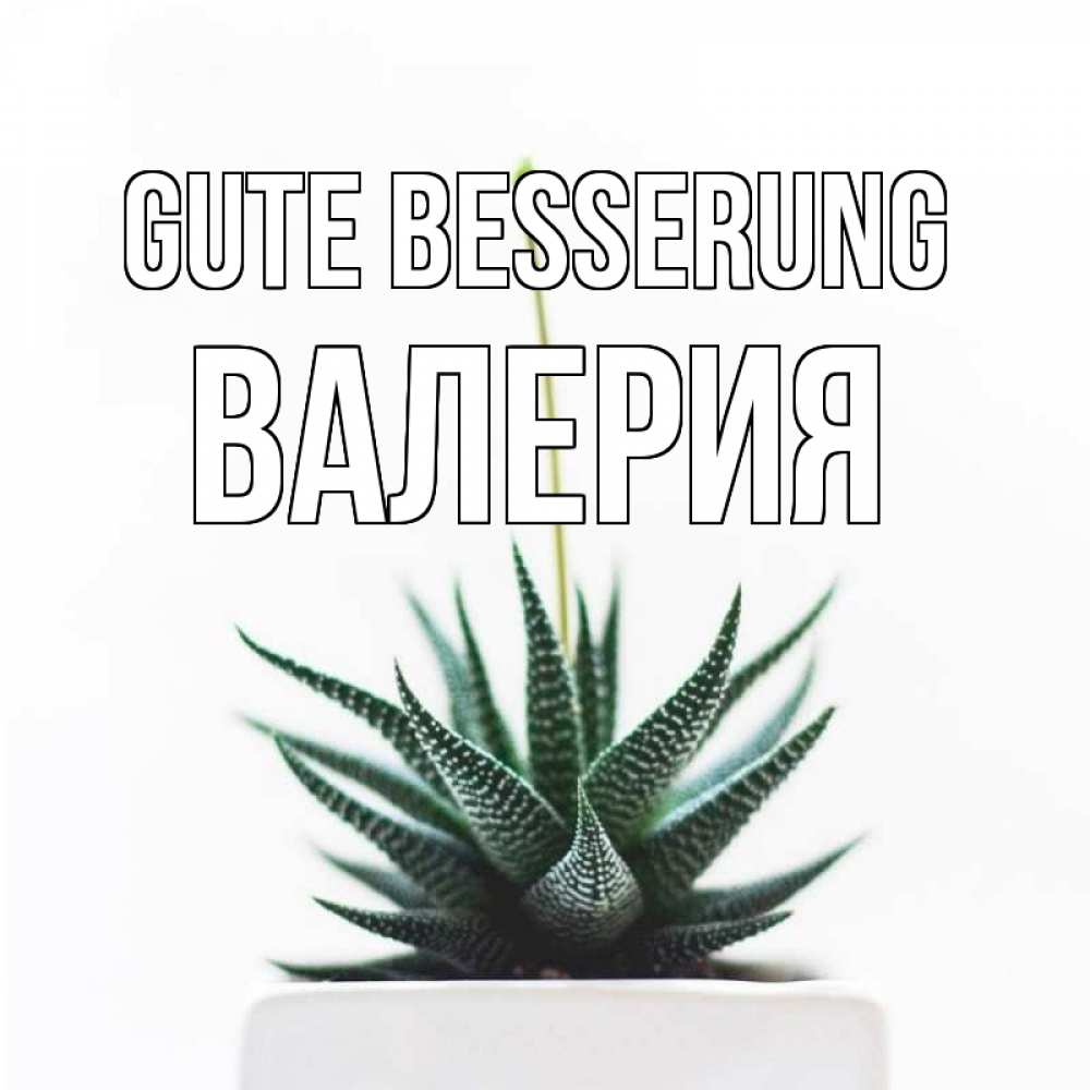 Открытка на каждый день с именем, Валерия Gute Besserung короче это непонятная колючка Прикольная открытка с пожеланием онлайн скачать бесплатно 