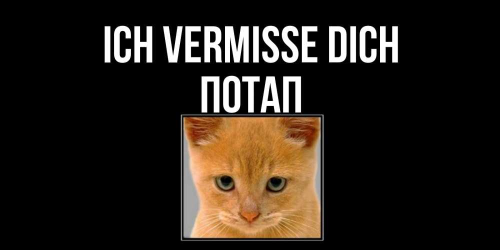 Открытка на каждый день с именем, Потап Ich vermisse dich открытки рыжий котенок скучает по тебе Прикольная открытка с пожеланием онлайн скачать бесплатно 