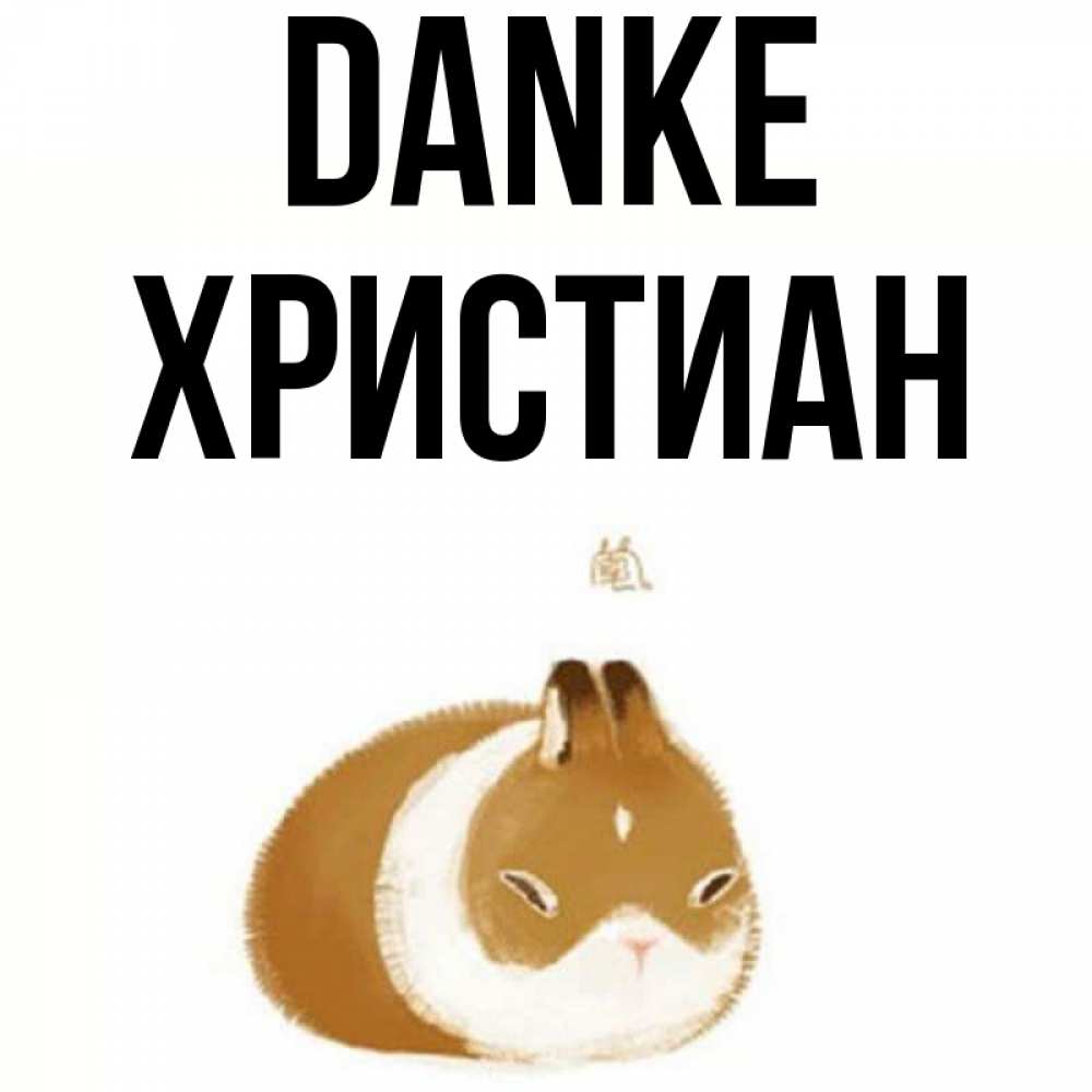 Открытка на каждый день с именем, Христиан Danke коричнево белый домашний питомец Прикольная открытка с пожеланием онлайн скачать бесплатно 