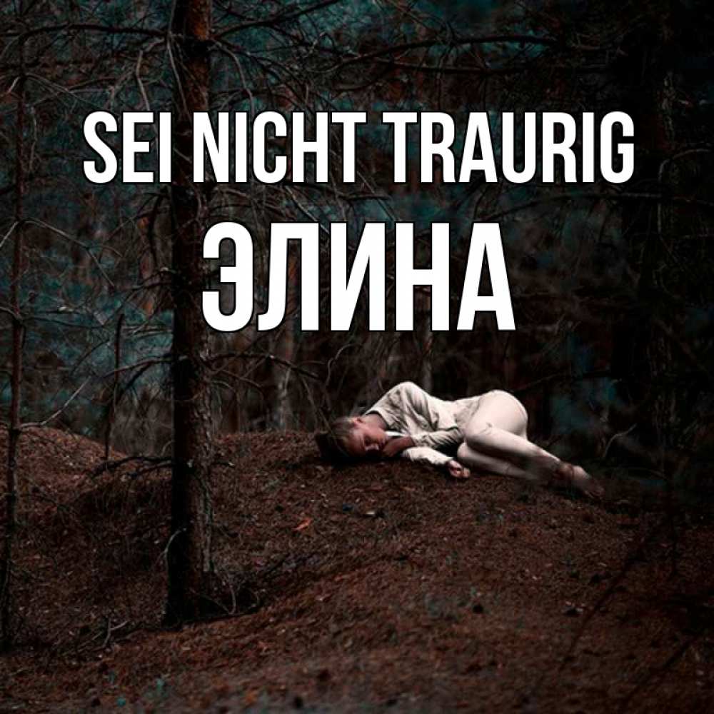 Открытка на каждый день с именем, Элина Sei nicht traurig лес Прикольная открытка с пожеланием онлайн скачать бесплатно 