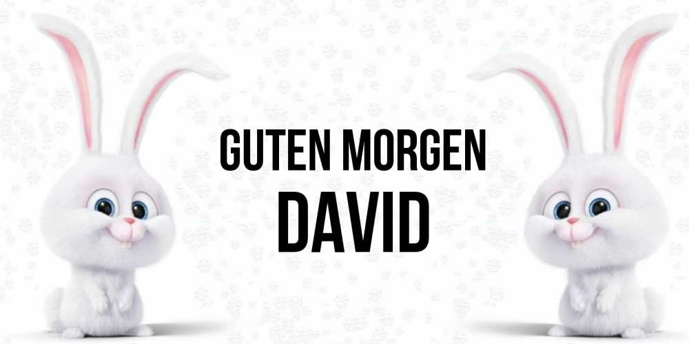 Открытка на каждый день с именем, David Guten Morgen кролики с длинными ушками Прикольная открытка с пожеланием онлайн скачать бесплатно 