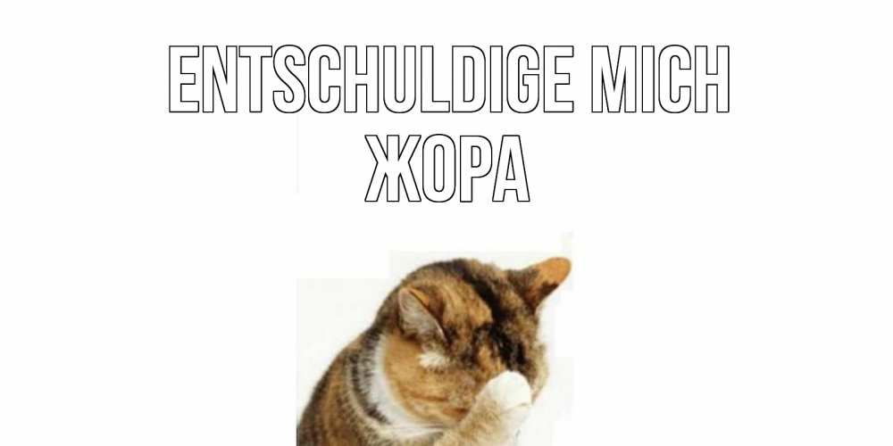 Открытка на каждый день с именем, Жора Entschuldige mich кот Прикольная открытка с пожеланием онлайн скачать бесплатно 