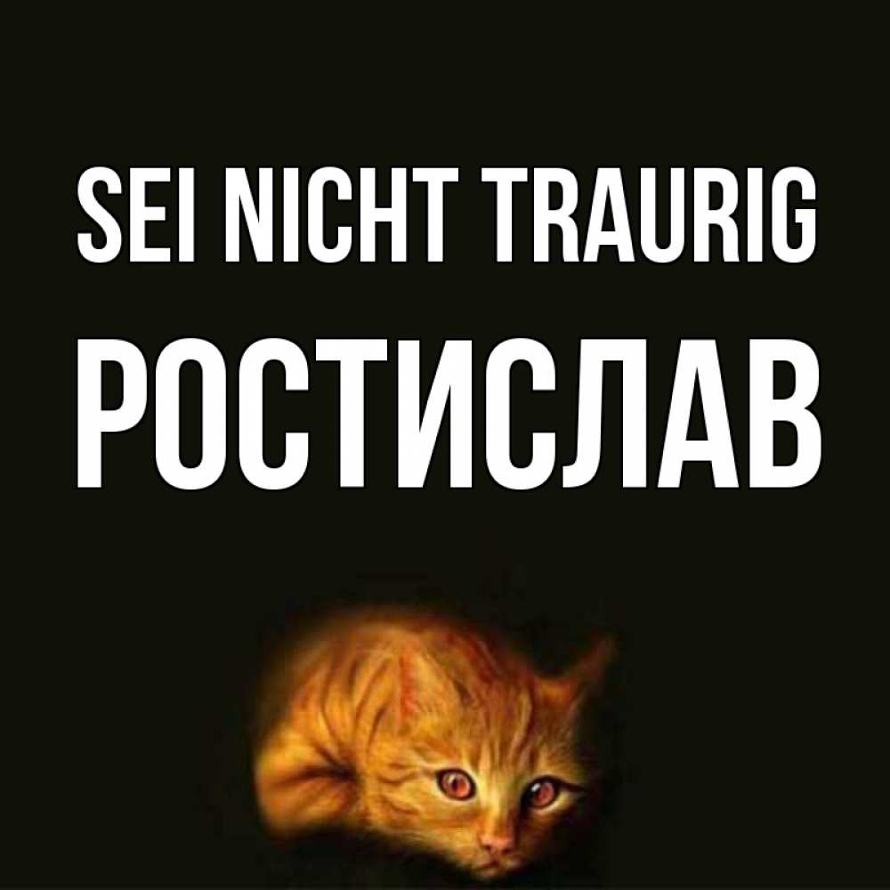 Открытка на каждый день с именем, Ростислав Sei nicht traurig лежащий кот в темноте Прикольная открытка с пожеланием онлайн скачать бесплатно 