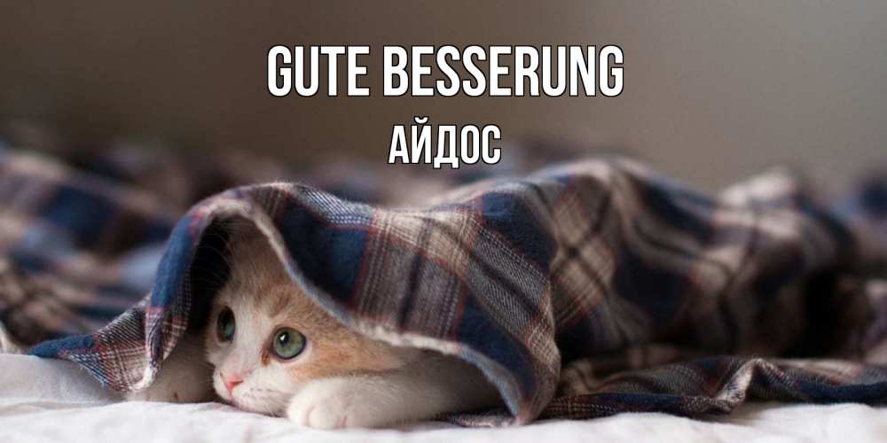 Открытка на каждый день с именем, Айдос Gute Besserung не болейте с котиком Прикольная открытка с пожеланием онлайн скачать бесплатно 