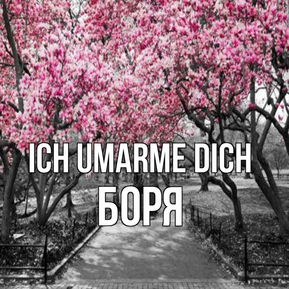 Открытка на каждый день с именем, Боря Ich umarme dich обработанное фото Прикольная открытка с пожеланием онлайн скачать бесплатно 