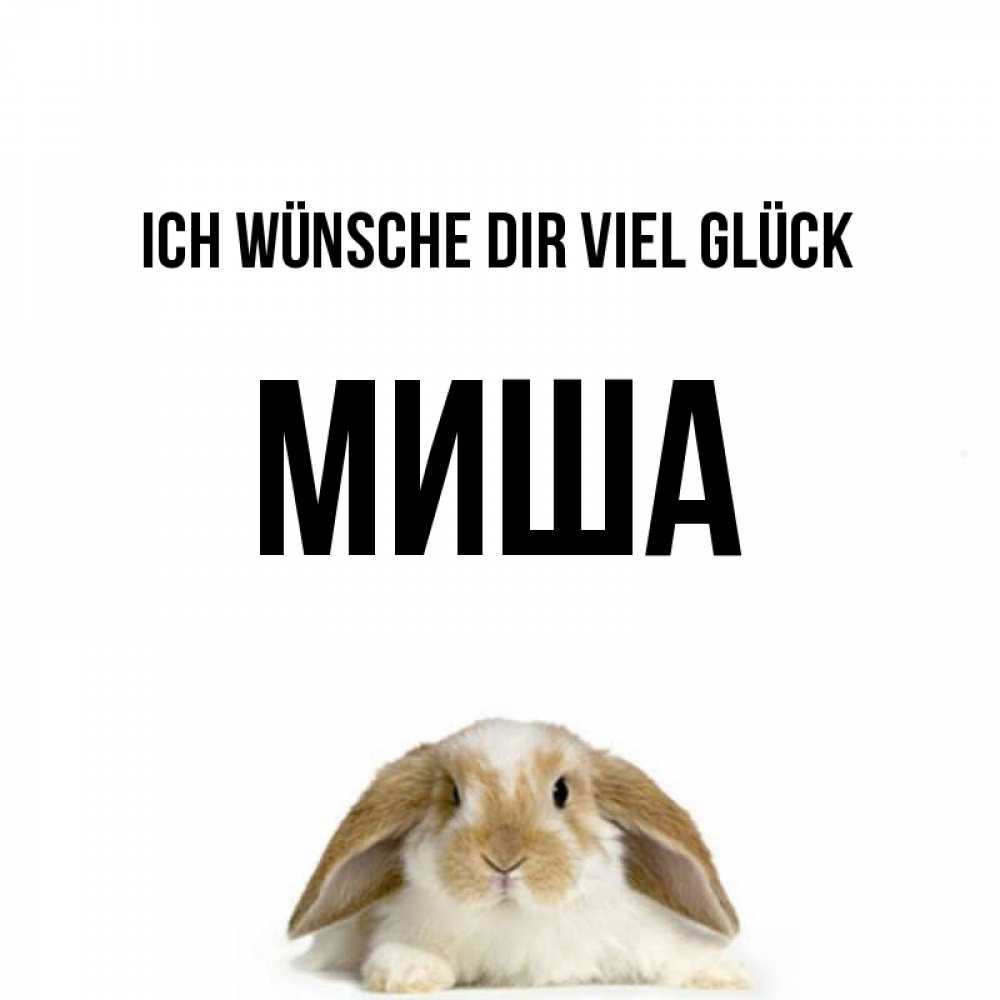 Открытка на каждый день с именем, Миша Ich wünsche dir viel Glück открытки с произвольным текстом который можно вставить в открытку и создать ее самостоятельно бесплатно онлайн Прикольная открытка с пожеланием онлайн скачать бесплатно 