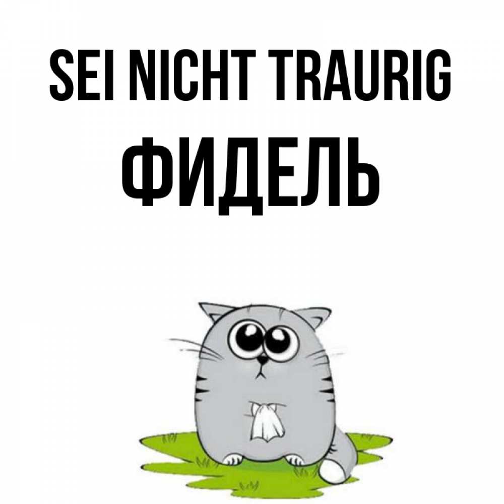 Открытка на каждый день с именем, Фидель Sei nicht traurig грустный котяра Прикольная открытка с пожеланием онлайн скачать бесплатно 