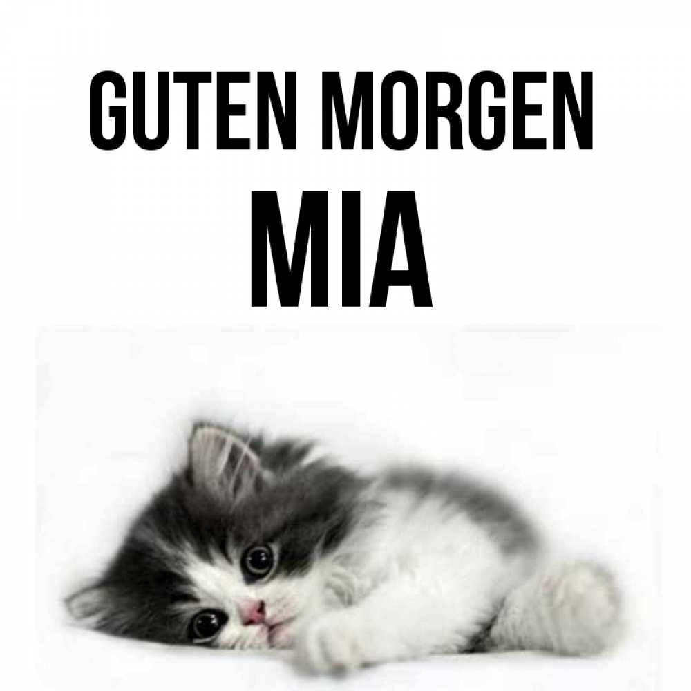 Открытка на каждый день с именем, Mia Guten Morgen кот лапки Прикольная открытка с пожеланием онлайн скачать бесплатно 