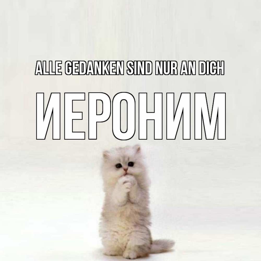 Открытка на каждый день с именем, Иероним Alle Gedanken sind nur an dich кот стоит на задних лапах Прикольная открытка с пожеланием онлайн скачать бесплатно 