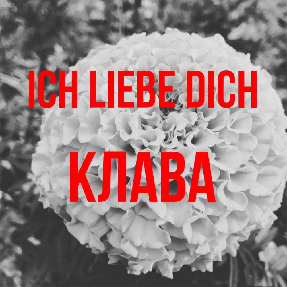 Открытка на каждый день с именем, Клава Ich liebe dich подпись Прикольная открытка с пожеланием онлайн скачать бесплатно 