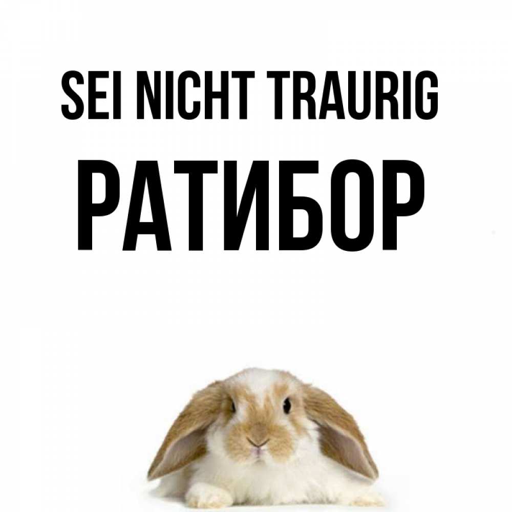 Открытка на каждый день с именем, Ратибор Sei nicht traurig коричнево белый заяц с большими ушками Прикольная открытка с пожеланием онлайн скачать бесплатно 