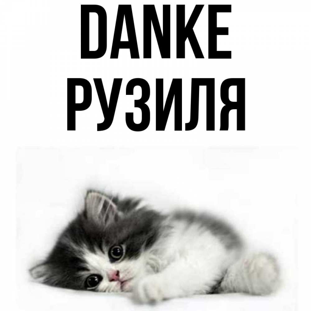 Открытка на каждый день с именем, Рузиля Danke черный и белый кот Прикольная открытка с пожеланием онлайн скачать бесплатно 