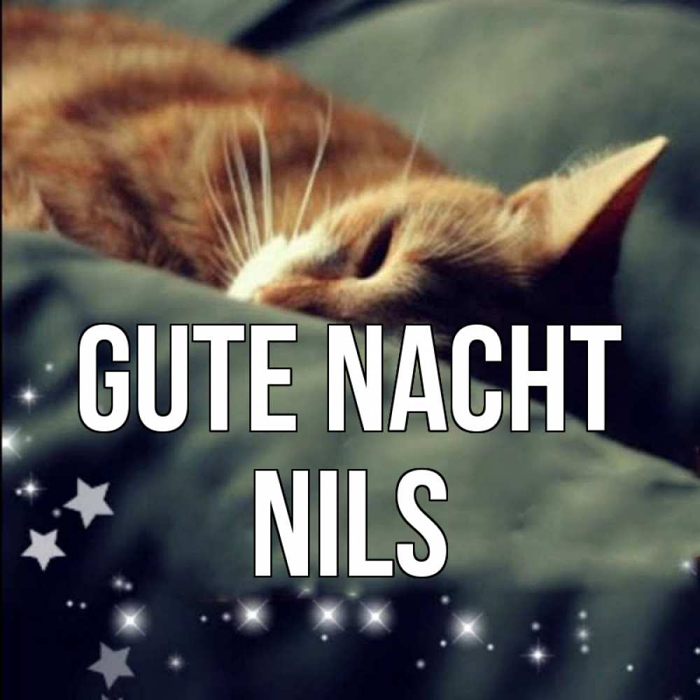 Открытка на каждый день с именем, Nils Gute Nacht кроватка Прикольная открытка с пожеланием онлайн скачать бесплатно 