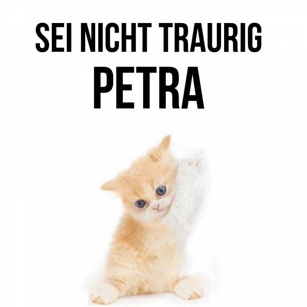 Открытка на каждый день с именем, Petra Sei nicht traurig просящий кот Прикольная открытка с пожеланием онлайн скачать бесплатно 