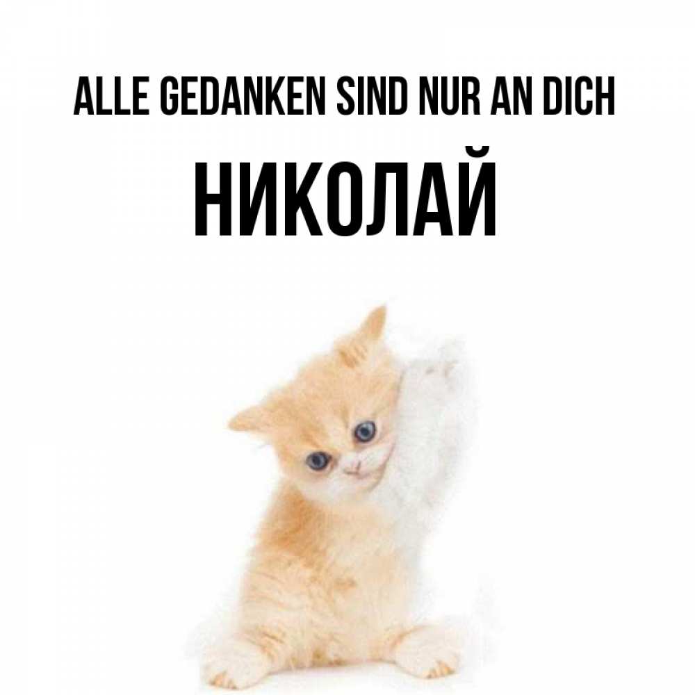 Открытка на каждый день с именем, Николай Alle Gedanken sind nur an dich зверушки и милота Прикольная открытка с пожеланием онлайн скачать бесплатно 