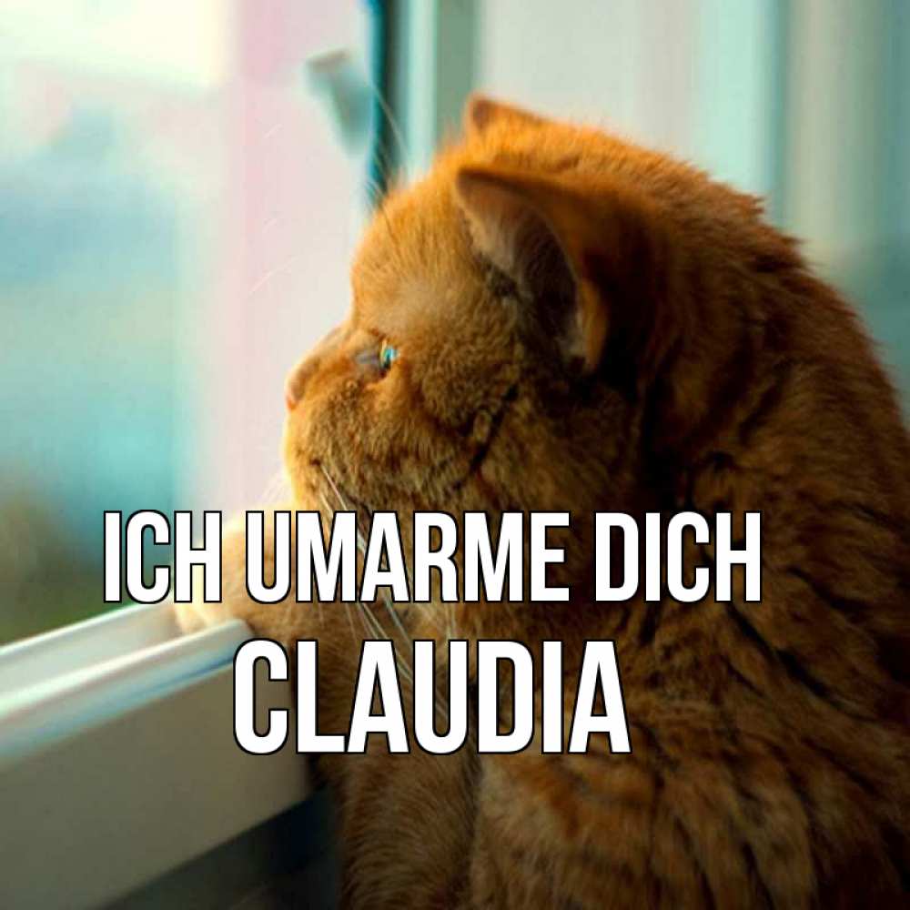 Открытка на каждый день с именем, Claudia Ich umarme dich большой огромный рыжий котяра Прикольная открытка с пожеланием онлайн скачать бесплатно 