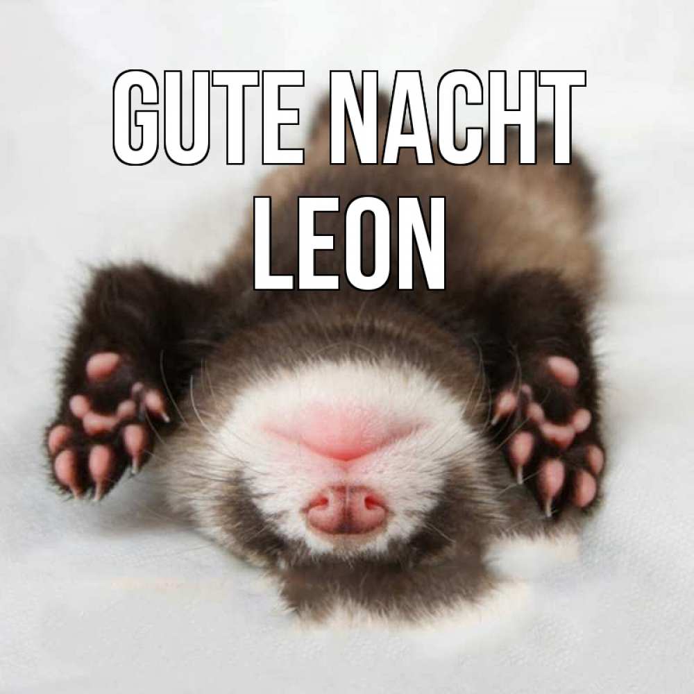 Открытка на каждый день с именем, Leon Gute Nacht зверек Прикольная открытка с пожеланием онлайн скачать бесплатно 