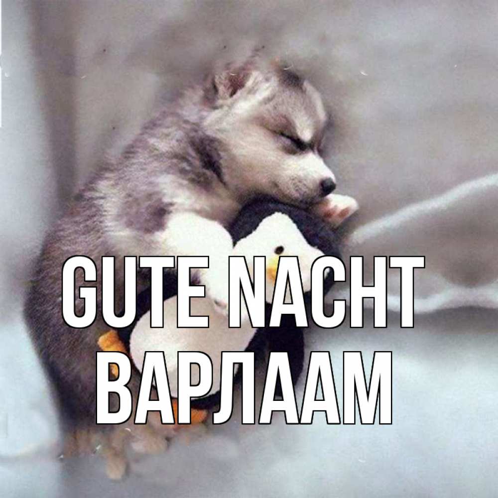 Открытка на каждый день с именем, Варлаам Gute Nacht обнимашки щенка и пингвина Прикольная открытка с пожеланием онлайн скачать бесплатно 