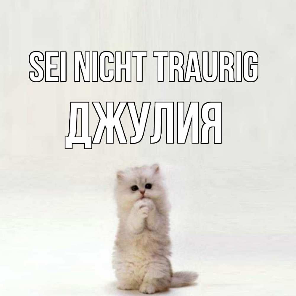 Открытка на каждый день с именем, Джулия Sei nicht traurig грустный кот Прикольная открытка с пожеланием онлайн скачать бесплатно 