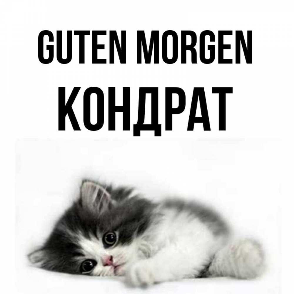 Открытка на каждый день с именем, Кондрат Guten Morgen кот лапки Прикольная открытка с пожеланием онлайн скачать бесплатно 
