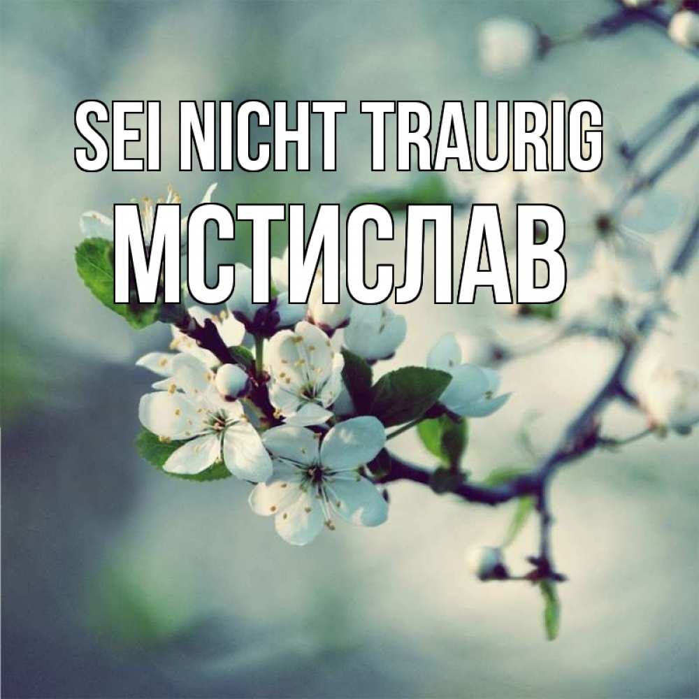 Открытка на каждый день с именем, Мстислав Sei nicht traurig яблоня в цвету 1 Прикольная открытка с пожеланием онлайн скачать бесплатно 