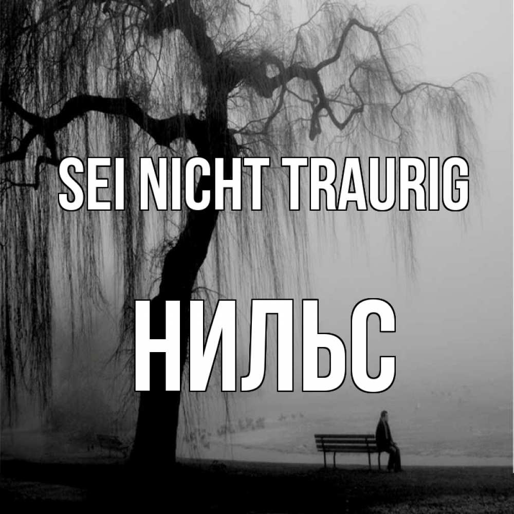 Открытка на каждый день с именем, Нильс Sei nicht traurig висящие ветки дерева и лавочка под деревом Прикольная открытка с пожеланием онлайн скачать бесплатно 