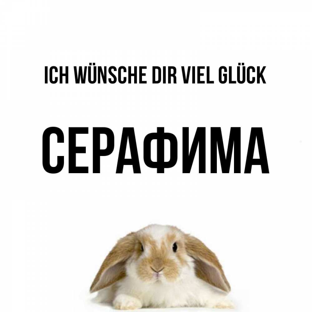 Открытка на каждый день с именем, Серафима Ich wünsche dir viel Glück открытки с произвольным текстом который можно вставить в открытку и создать ее самостоятельно бесплатно онлайн Прикольная открытка с пожеланием онлайн скачать бесплатно 
