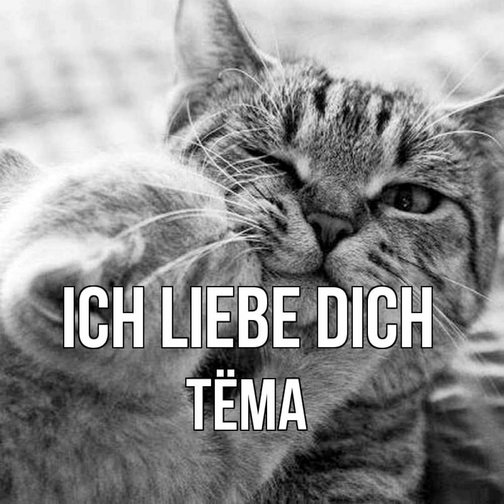 Открытка на каждый день с именем, Тёма Ich liebe dich коты Прикольная открытка с пожеланием онлайн скачать бесплатно 