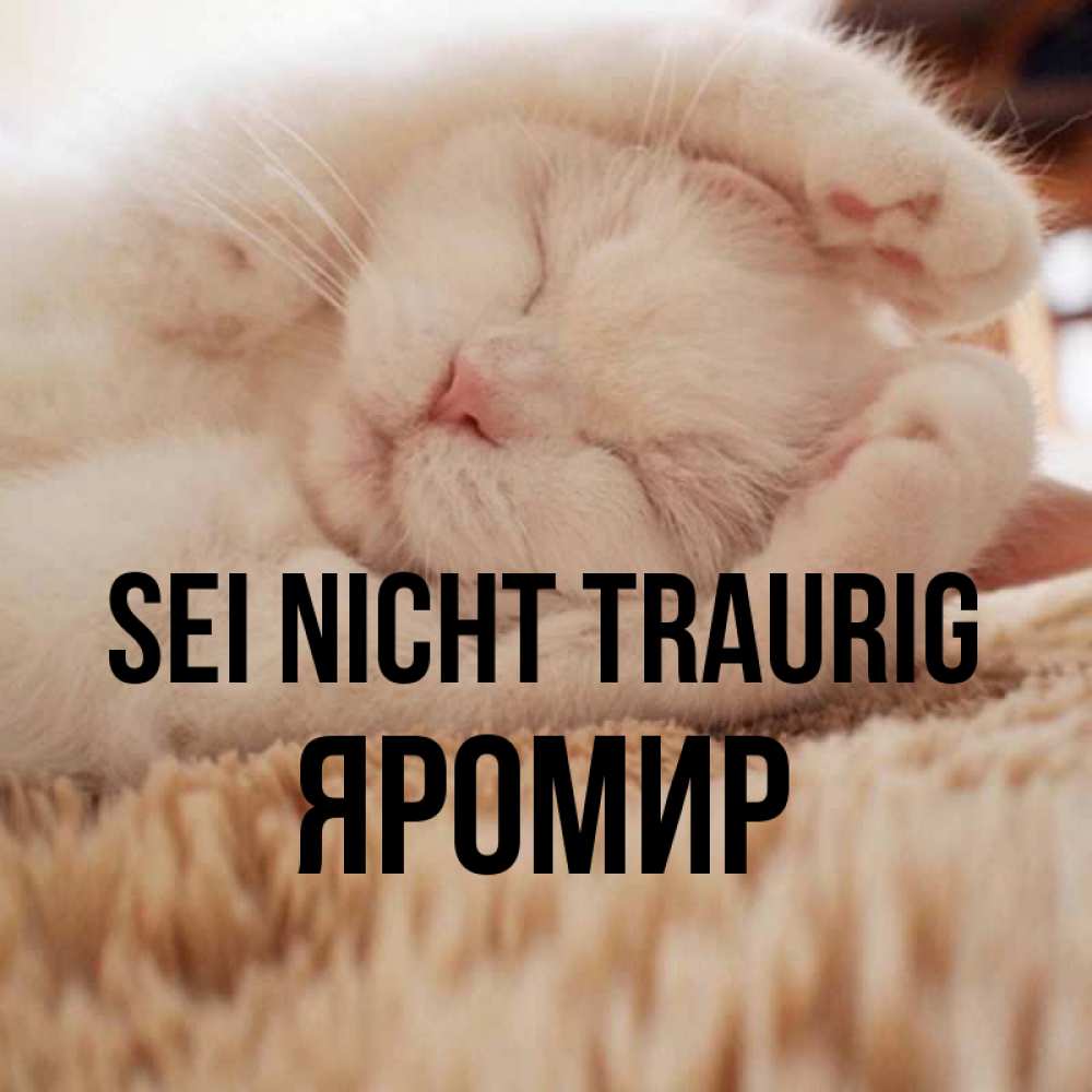 Открытка на каждый день с именем, Яромир Sei nicht traurig Котенок спит Прикольная открытка с пожеланием онлайн скачать бесплатно 