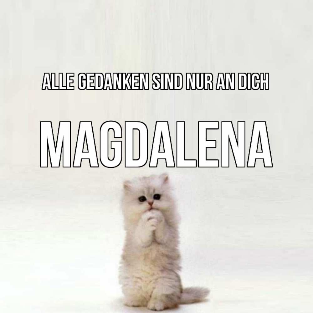 Открытка на каждый день с именем, Magdalena Alle Gedanken sind nur an dich кот стоит на задних лапах Прикольная открытка с пожеланием онлайн скачать бесплатно 