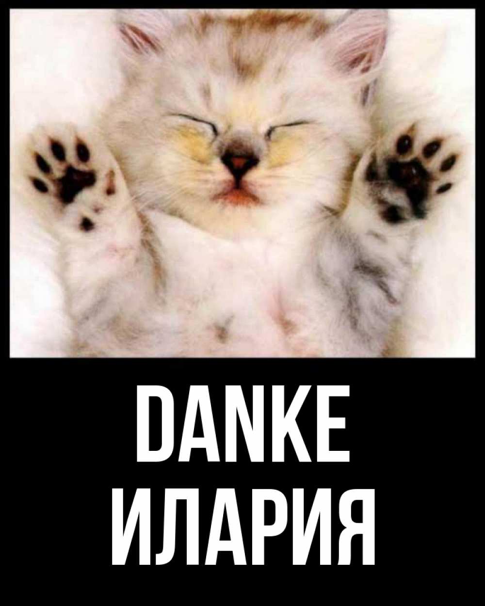Открытка на каждый день с именем, Илария Danke маленький котенок Прикольная открытка с пожеланием онлайн скачать бесплатно 