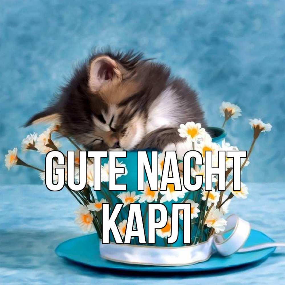 Открытка на каждый день с именем, Карл Gute Nacht котенок спит в кружке с блюдцем Прикольная открытка с пожеланием онлайн скачать бесплатно 