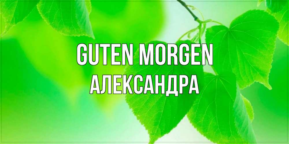 Открытка на каждый день с именем, Александра Guten Morgen доброе утро с березовыми листьями Прикольная открытка с пожеланием онлайн скачать бесплатно 