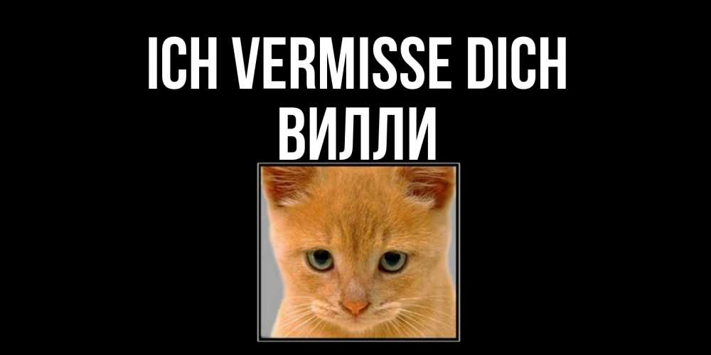 Открытка на каждый день с именем, Вилли Ich vermisse dich открытки рыжий котенок скучает по тебе Прикольная открытка с пожеланием онлайн скачать бесплатно 
