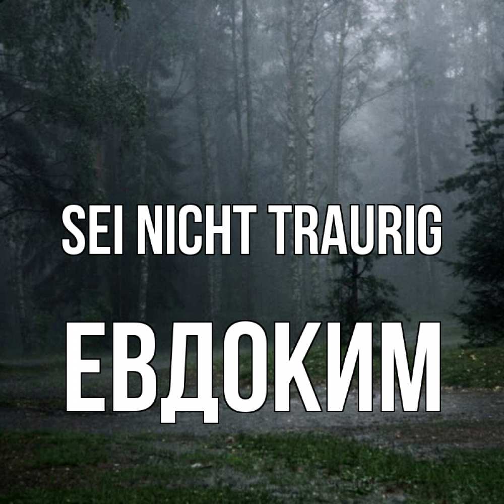 Открытка на каждый день с именем, Евдоким Sei nicht traurig осень Прикольная открытка с пожеланием онлайн скачать бесплатно 