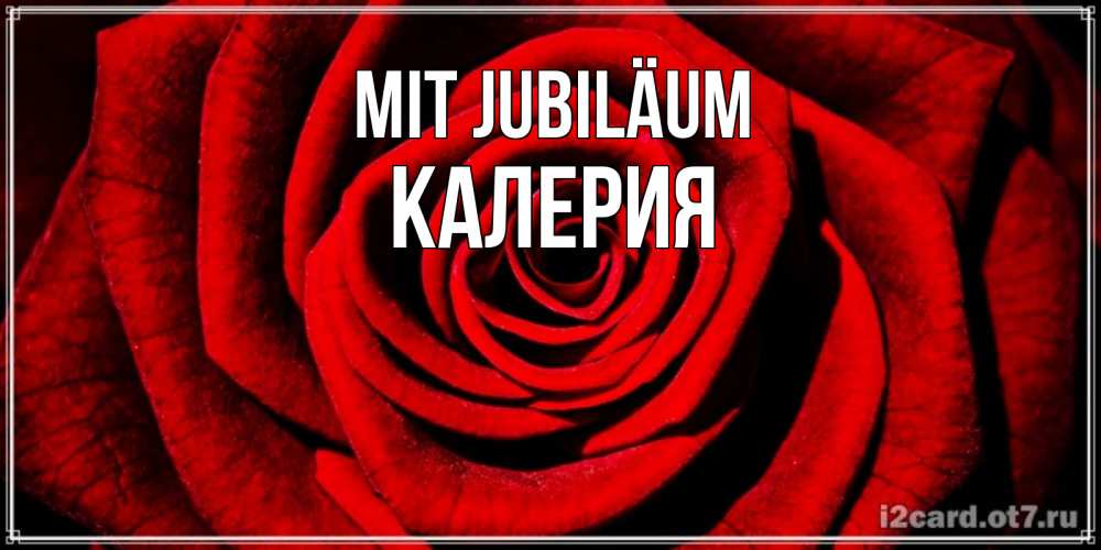 Открытка на каждый день с именем, Калерия Mit Jubiläum алая роза Прикольная открытка с пожеланием онлайн скачать бесплатно 
