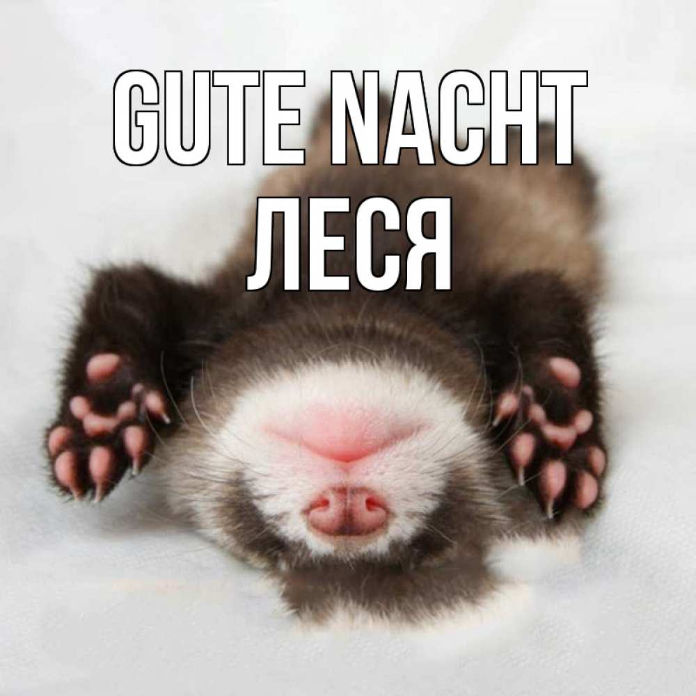 Открытка на каждый день с именем, Леся Gute Nacht зверек Прикольная открытка с пожеланием онлайн скачать бесплатно 