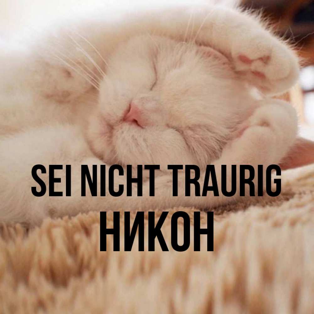 Открытка на каждый день с именем, Никон Sei nicht traurig Котенок спит Прикольная открытка с пожеланием онлайн скачать бесплатно 