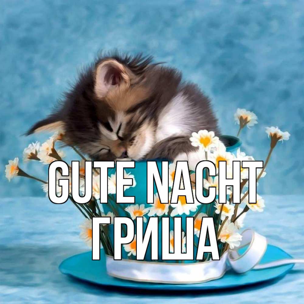 Открытка на каждый день с именем, Гриша Gute Nacht котенок спит в кружке с блюдцем Прикольная открытка с пожеланием онлайн скачать бесплатно 