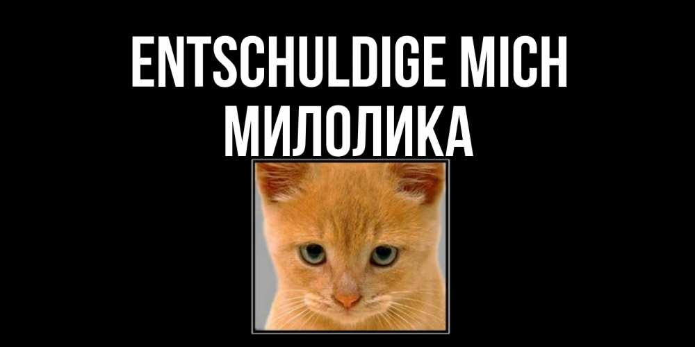 Открытка на каждый день с именем, Милолика Entschuldige mich рыжий грустный кот просит прощения Прикольная открытка с пожеланием онлайн скачать бесплатно 