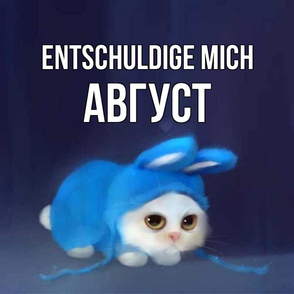 Открытка на каждый день с именем, Август Entschuldige mich невинный котозай просит прощения Прикольная открытка с пожеланием онлайн скачать бесплатно 
