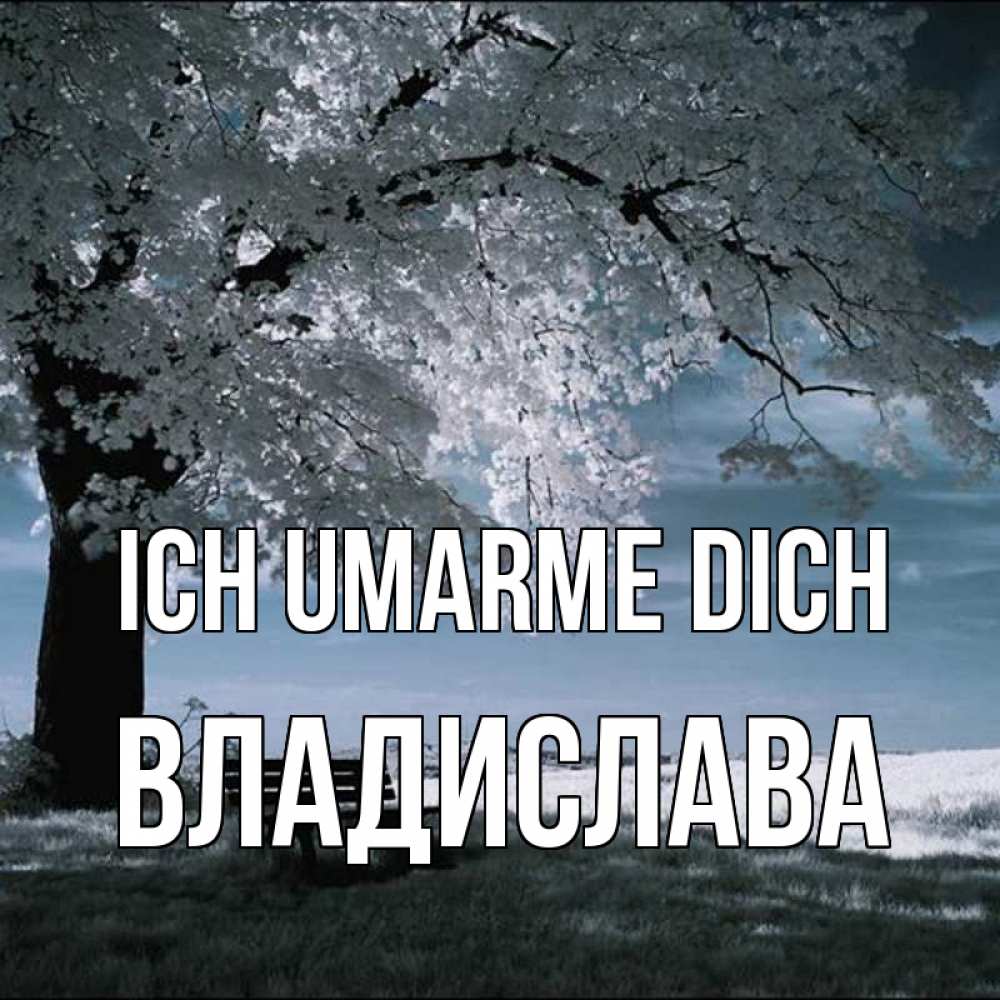 Открытка на каждый день с именем, Владислава Ich umarme dich дерево Прикольная открытка с пожеланием онлайн скачать бесплатно 